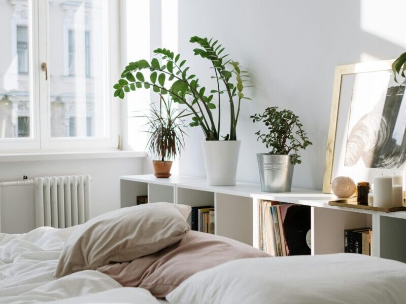 Bright and airy minimalist bedroom interior design with houseplants and natural light.